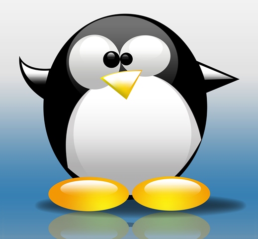 A Big Penguin